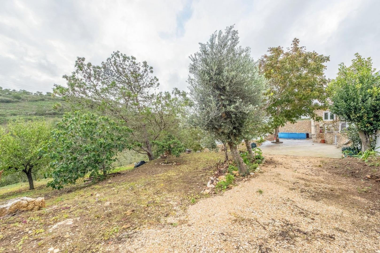 Countryside Paradise In Bucelas Extérieur photo